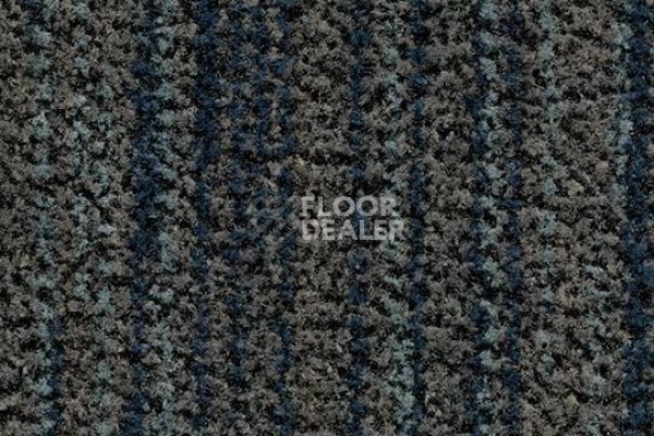 Грязезащитные покрытия Forbo Coral Brush 5767 slate blue фото 1 | FLOORDEALER